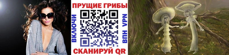Псилоцибиновые грибы мицелий Енисейск